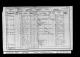 1901 Census England - Albert Bulman.jpeg